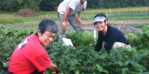 Gardeners happily work at the Boces Garden.