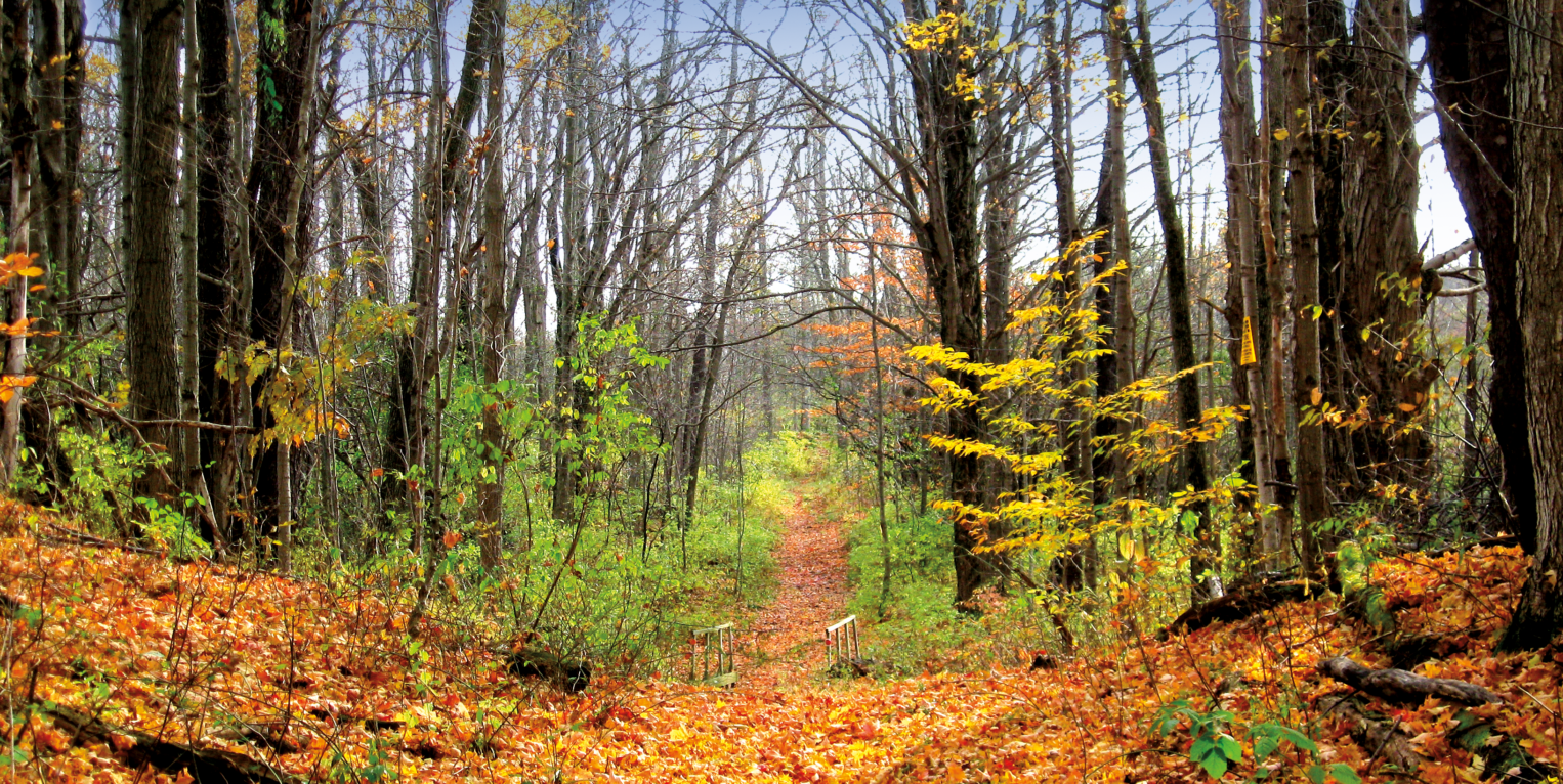 Cazenovia Preservation Trail